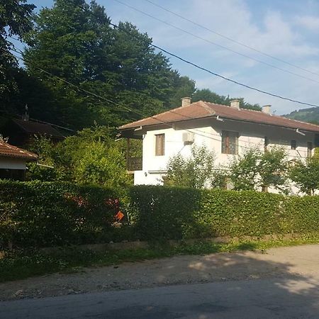 Вила Керенски ريباريكا المظهر الخارجي الصورة