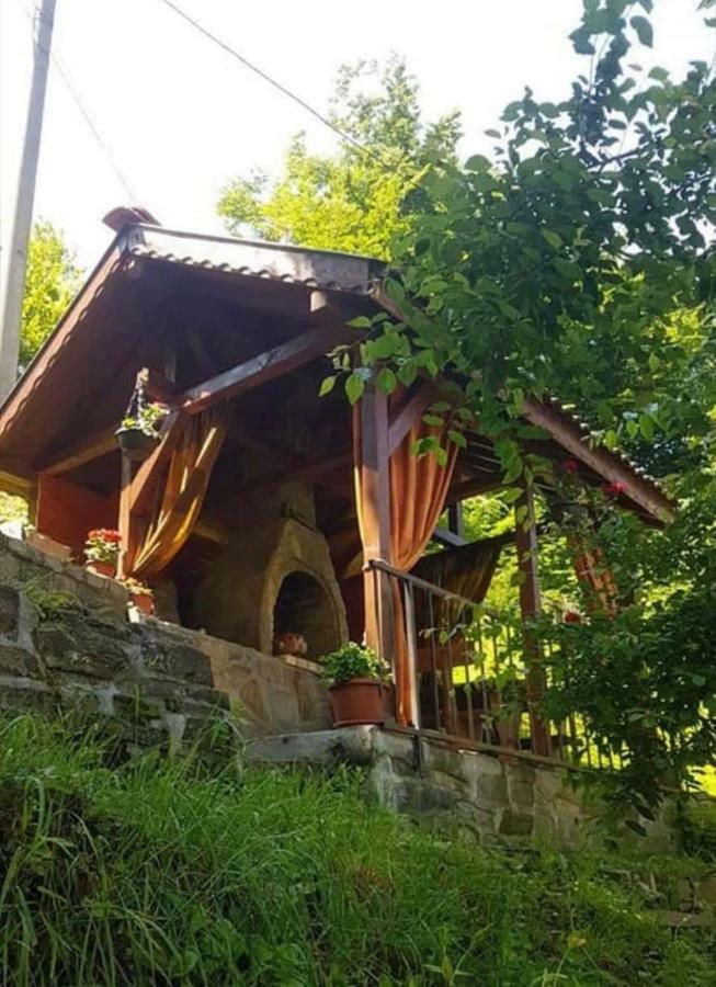 Вила Керенски ريباريكا المظهر الخارجي الصورة